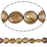 Perlas Moneda Freshwater, Perlas cultivadas de agua dulce, color café, 11-17mm, agujero:aproximado 0.8mm, longitud:aproximado 15.5 Inch, Vendido por Sarta