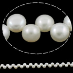 Button Cultured Freshwater Pearl Beads, natural, white, 7-8mm Approx 0.8mm Approx 15 Inch 