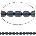 Perlas Arroz Freshwater, Perlas cultivadas de agua dulce, natural, Negro, Grado A, 8-9mm, agujero:aproximado 0.8mm, longitud:aproximado 15 Inch, Vendido por Sarta