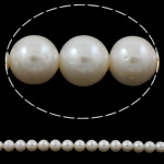 Round Cultured Freshwater Pearl Beads, natural, white, 10-11mm Approx 0.8-1mm Approx 15.7 Inch 