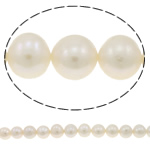 Round Cultured Freshwater Pearl Beads, natural, white, Grade AA, 11-12mm Approx 0.8mm Approx 16 Inch 