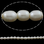 Perlas Arroz Freshwater, Perlas cultivadas de agua dulce, natural, Blanco, Grado A, 9-10mm, agujero:aproximado 2mm, longitud:aproximado 15 Inch, Vendido por Sarta