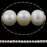Perlas Patata Freshwater, Perlas cultivadas de agua dulce, natural, Blanco, 8-9mm, agujero:aproximado 0.8-1mm, longitud:aproximado 14 Inch, Vendido por Sarta
