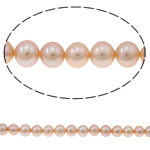 Round Cultured Freshwater Pearl Beads, natural, pink, Grade AA, 6-7mm Approx 0.8mm Approx 15.5 Inch 
