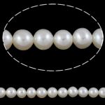 Round Cultured Freshwater Pearl Beads, natural, white, 4-5mm Approx 0.8mm Approx 15.7 Inch 