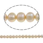 Perles de nacre rondes de culture d'eau douce, perle d'eau douce cultivée, naturel, rose, 11-12mm Environ 0.8mm Environ 15.5 pouce, Vendu par brin