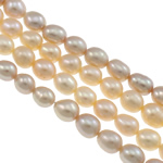 Perles d'eau douce de culture de riz, perle d'eau douce cultivée, naturel, couleurs mélangées, grade A, 4-5mm Environ 0.8mm Environ 14.7 pouce, Vendu par brin