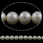 Round Cultured Freshwater Pearl Beads, natural Grade AA, 12-15mm Approx 0.8mm Approx 16 Inch 