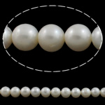 Round Cultured Freshwater Pearl Beads, natural, white, Grade AA, 9-10mm Approx 0.8mm .5 Inch 