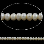 Bouton de culture des perles d'eau douce, perle d'eau douce cultivée, naturel, blanc, grade A, 6-7mm Environ 0.8mm Environ 15 pouce, Vendu par brin