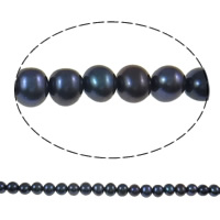 Round Cultured Freshwater Pearl Beads, natural, black, Grade AA, 5-6mm Approx 0.8mm Approx 15.3 Inch 