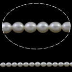 Perlas Arroz Freshwater, Perlas cultivadas de agua dulce, natural, Blanco, 4-4.5mm, agujero:aproximado 0.8mm, longitud:aproximado 15.7 Inch, Vendido por Sarta