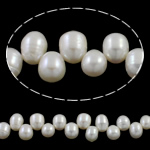Perlas Arroz Freshwater, Perlas cultivadas de agua dulce, natural, Top perforado, Blanco, 9-10mm, agujero:aproximado 0.8mm, longitud:aproximado 15.7 Inch, Vendido por Sarta