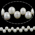 Rice Cultured Freshwater Pearl Beads, natural, top drilled, white, 10-11mm Approx 0.8mm Approx 15.7 Inch 