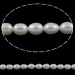 Perlas Arroz Freshwater, Perlas cultivadas de agua dulce, natural, Blanco, 6-7mm, agujero:aproximado 0.8mm, longitud:aproximado 15.7 Inch, Vendido por Sarta