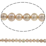 Potato Cultured Freshwater Pearl Beads, natural, purple, 5-6mm Approx 0.8mm Approx 15.7 Inch 