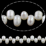 Perlas Arroz Freshwater, Perlas cultivadas de agua dulce, natural, Top perforado, Blanco, 5-6mm, agujero:aproximado 0.8mm, longitud:aproximado 15.7 Inch, Vendido por Sarta