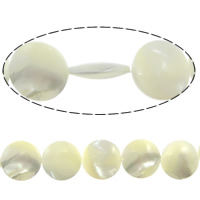 Seashell Beads, Natural Seashell, Coin, white Inch 