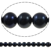 Perles de nacre rondes de culture d'eau douce, perle d'eau douce cultivée, naturel, noire, grade A, 10-11mm Environ 0.8mm about 14.5 pouce, Vendu par brin