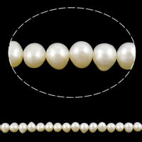 Perles de nacre rondes de culture d'eau douce, perle d'eau douce cultivée, naturel, blanc, grade A, 5-6mm Environ 0.8mm pouce, Vendu par brin
