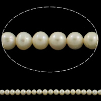 Round Cultured Freshwater Pearl Beads, natural, white, Grade A, 6-7mm Approx 0.8mm .5 Inch 