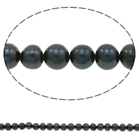 Round Cultured Freshwater Pearl Beads, natural Grade A, 5-6mm Approx 0.8mm 