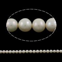 Round Cultured Freshwater Pearl Beads, natural, white, Grade AA, 9-10mm 