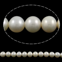 Perles de nacre rondes de culture d'eau douce, perle d'eau douce cultivée, naturel, blanc, Niveau AA, 8-9mm Environ 0.8mm pouce, Vendu par brin