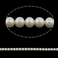 Round Cultured Freshwater Pearl Beads, natural Grade AA, 7-8mm Approx 0.8mm 