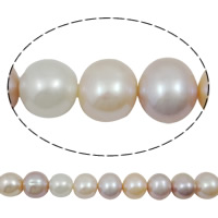 Round Cultured Freshwater Pearl Beads, natural, multi-colored, Grade AAA, 11-12mm Approx 0.8mm Inch 