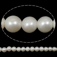Round Cultured Freshwater Pearl Beads, natural  Grade A, 10-11mm 