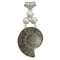 Trumpet Shell Pendant, with Freshwater Pearl & Brass, Snail, platinum color plated Approx 