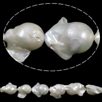 Perlas Cultivadas Nucleadas de Agua Dulce, Gota, natural, Blanco, Grado AAA, 16-26mm, agujero:aproximado 0.8mm, longitud:15.5 Inch, Vendido por KG