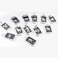 Stainless Steel Constellation Pendant, 316L Stainless Steel, Rectangle, with constellation symbols & enamel Approx 3-5mm 