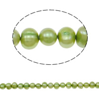 Perles de nacre rondes de culture d'eau douce, perle d'eau douce cultivée, vert, grade A, 5-6mm Environ 0.8mm .5 pouce, Vendu par brin