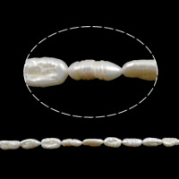 Бива культивировали пресноводные жемчужные бусины, Пресноводные жемчуги, натуральный, белый, 16-25mm, отверстие:Приблизительно 0.5mm, длина:15 дюймовый, продается Strand