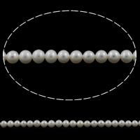 淡水養殖の真円真珠, 天然有核フレッシュウォーターパール, ラウンド形, 天然, 無色, 5mm, 穴:約 0.8mm, 長さ:約 15.3 インチ, 売り手 ストランド