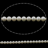 淡水養殖の真円真珠, 天然有核フレッシュウォーターパール, ラウンド形, 天然, 無色, 6mm, 穴:約 0.8mm, 長さ:約 15.5 インチ, 売り手 ストランド