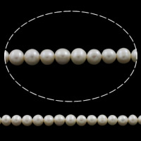 淡水養殖の真円真珠, 天然有核フレッシュウォーターパール, ラウンド形, 天然, 無色, 8-9mm, 穴:約 0.8mm, 長さ:約 15.5 インチ, 売り手 ストランド