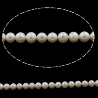 Round Cultured Freshwater Pearl Beads, natural 7-8mm Approx 0.8mm Approx 15 Inch 