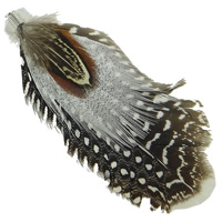 Guinée Fowl Plume accessoires de costume, avec Faisan argent & Plume de faisan & fer, Placage de couleur platine, plus de couleurs à choisir Vendu par PC