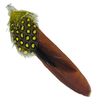 Goose Feather Costume Accessories, with Pheasant Feather & Guinea Fowl Feather & Iron, platinum color plated 
