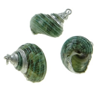 Trompete Shell Messing Anhänger, Trompete Muschel, mit Messing, silberfarben plattiert, grün, 19x25x15mm-25x34x21mm, Bohrung:ca. 1.5mm, verkauft von PC