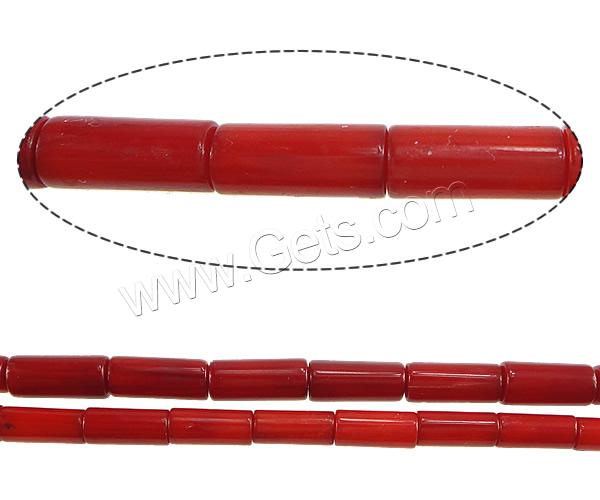 Natural Coral Beads, Tube, different size for choice, red, Hole:Approx 0.5mm, Length:Approx 15 Inch, Sold By Strand