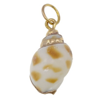 Trumpet Shell Pendant, with Brass, Conch, gold color plated - Approx 5.5mm 