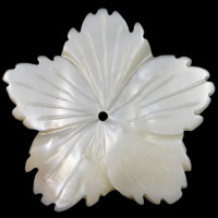 Natürliche weiße Muschelperlen, Blume, flache Rückseite, 27x26x6mm, Bohrung:ca. 1mm, verkauft von PC