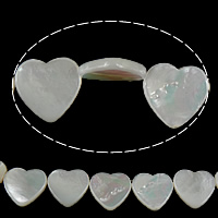Perles en coquillage blanc naturel, coquille blanche, coeur Environ 1mm Environ 15.5 pouce, Environ Vendu par brin