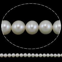 Perles de nacre rondes de culture d'eau douce, perle d'eau douce cultivée, naturel, blanc, grade AAA, 8-9mm Environ 0.8mm Environ 15.7 pouce, Vendu par brin