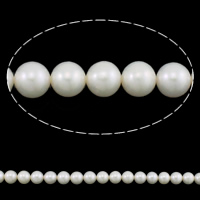Round Cultured Freshwater Pearl Beads, natural, white, Grade AAAA, 8-9mm Approx 0.8mm Approx 15.7 Inch 