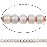Button Cultured Freshwater Pearl Beads, natural, purple, 10-11mm Approx 0.8mm Approx 15.7 Inch 